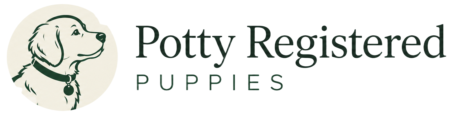 Potty Registered Puppies