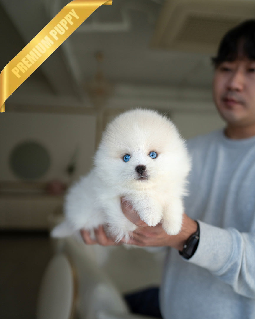 Lucky photo 1