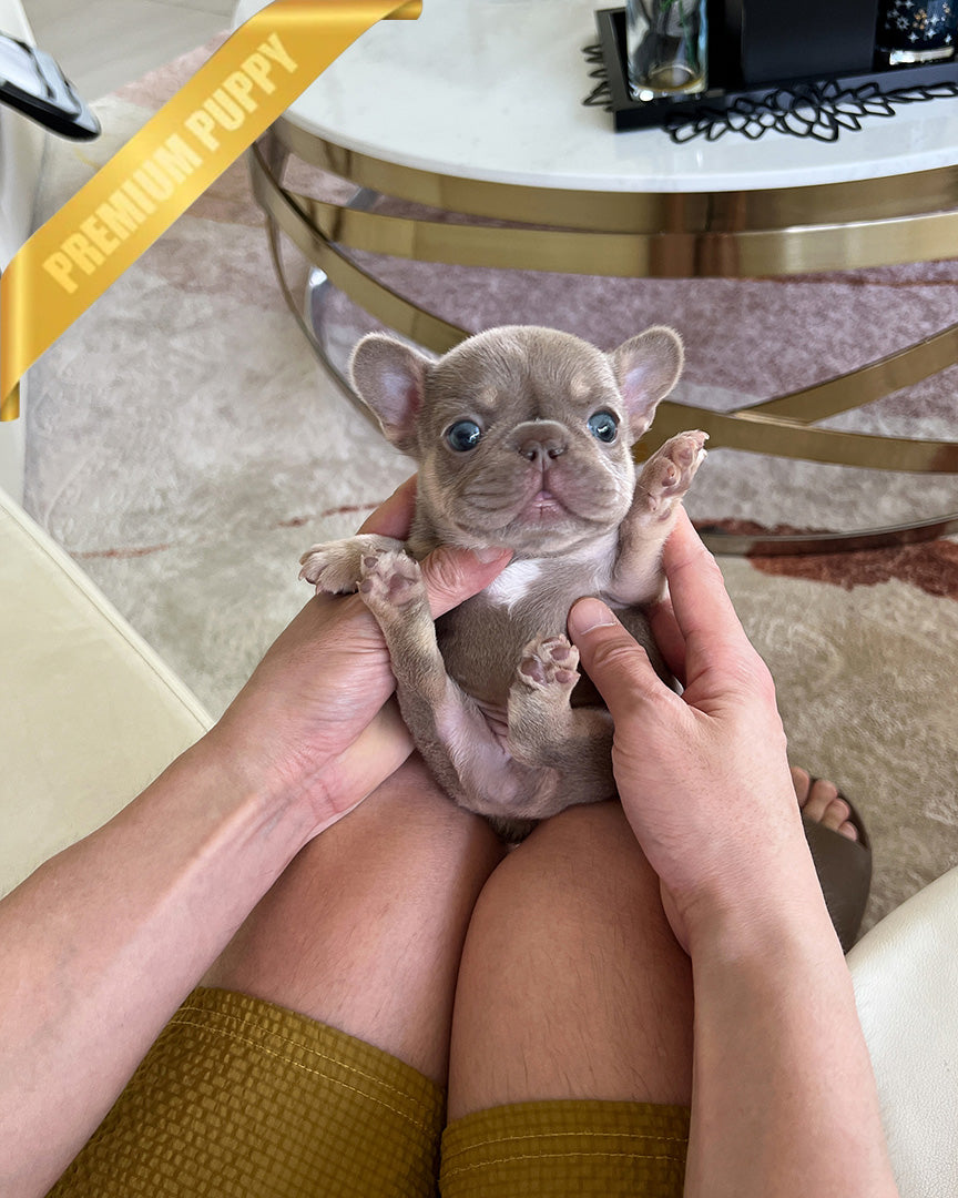 Mauve photo 1